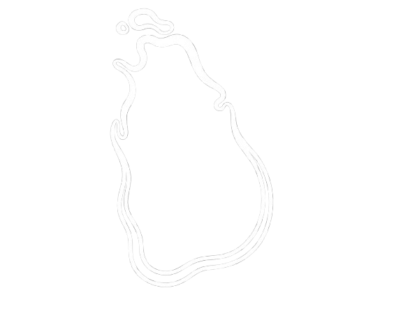 Sri Lankan